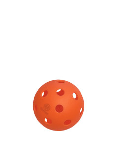 Balle pickleball INDOOR OLIVER